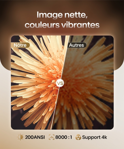 Comparaison d'image entre un projecteur 200 ANSI net avec couleurs vibrantes et un projecteur flou.